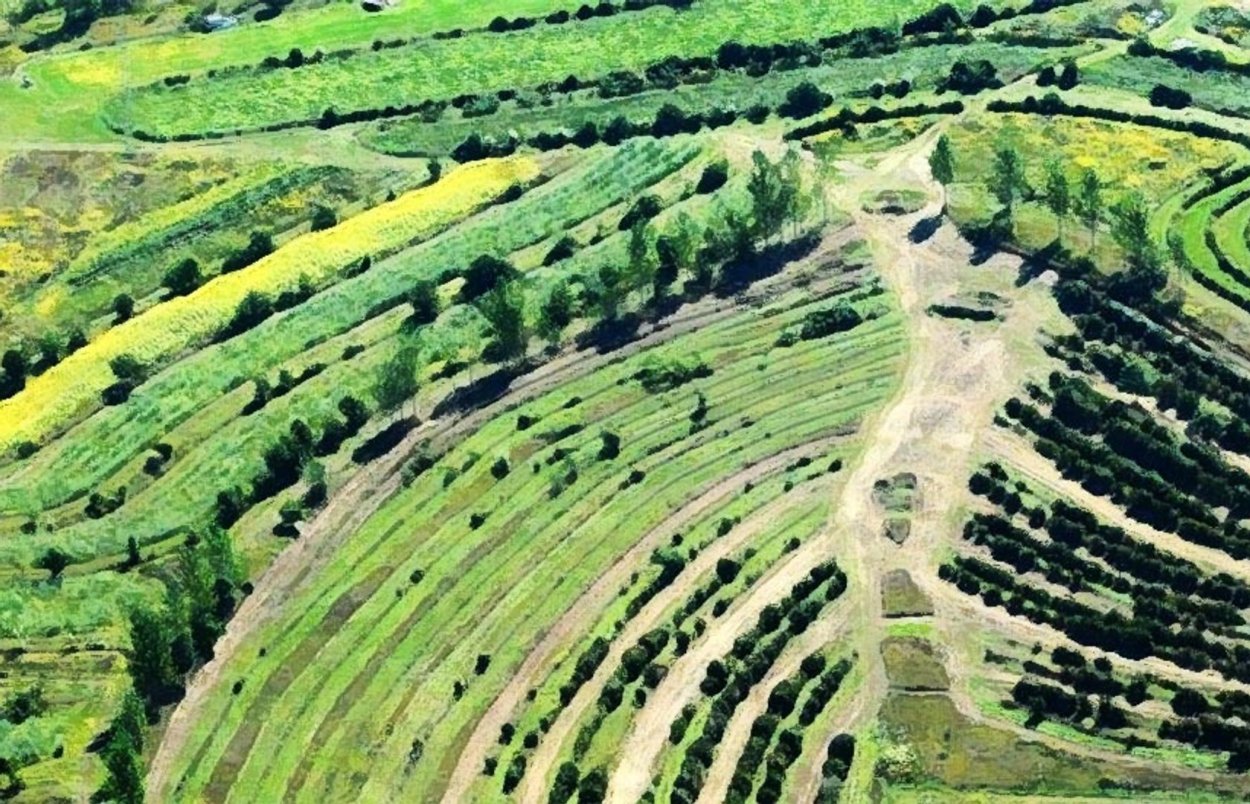 Марк Шеппард Пермакультура