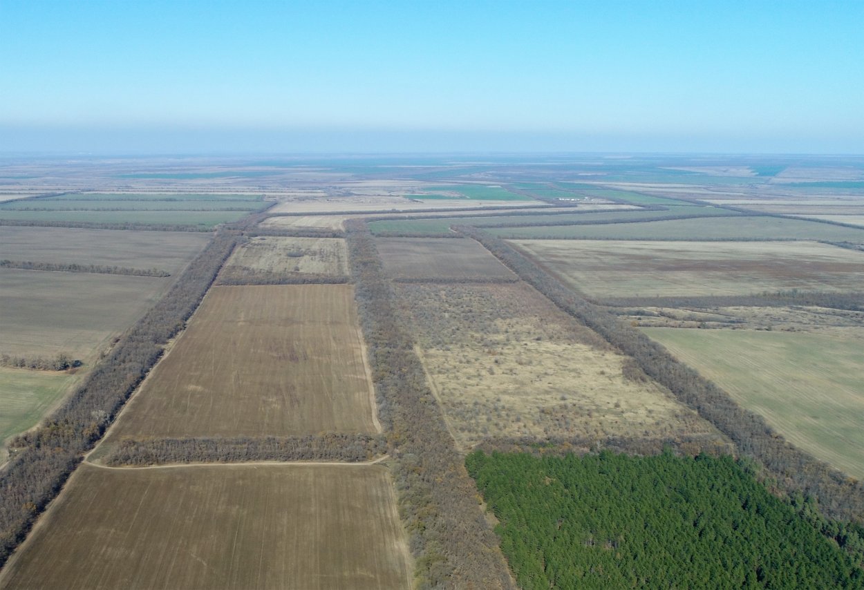 Шипова Дубрава Воронежская область