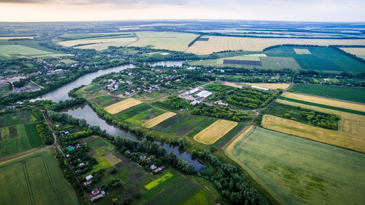 Ветроломные Лесные полосы