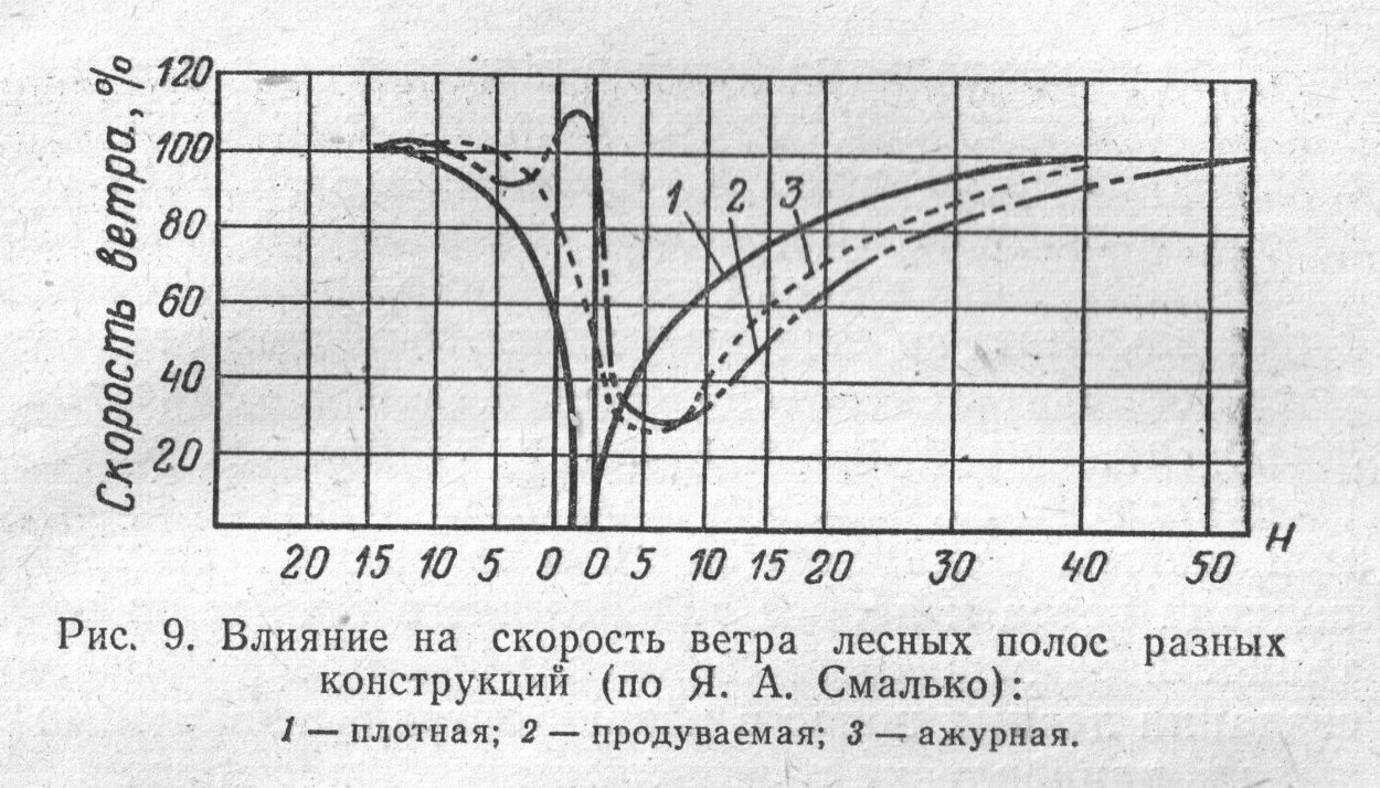 Продуваемая конструкция лесных полос