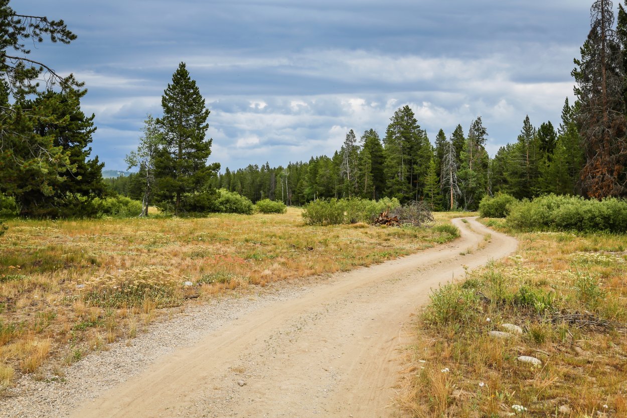 Проселочная дорога сбоку