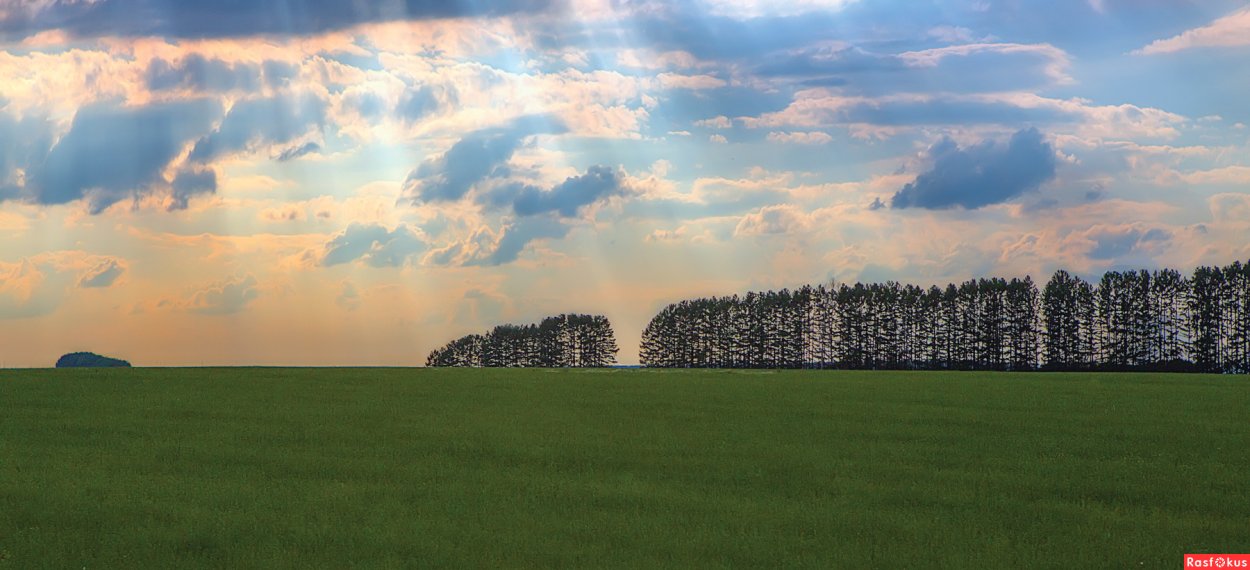 Проект противоэрозионной организации территории