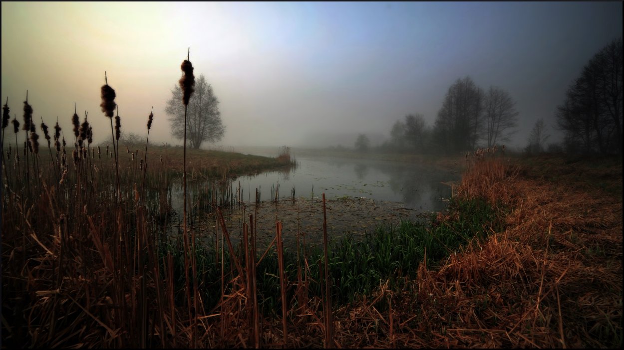 Болото вечером