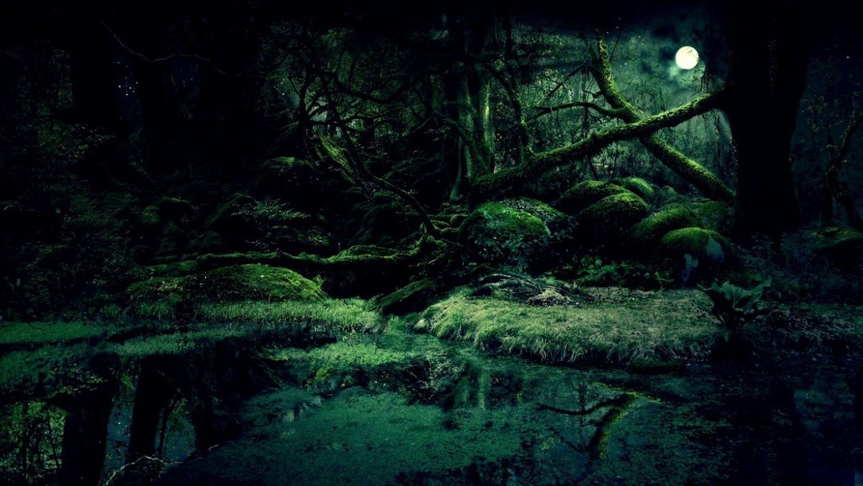 Болото в лесу ночью