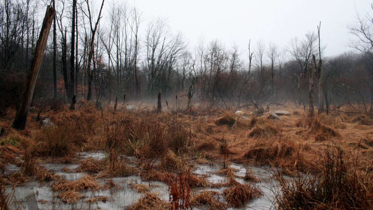 Село гнилое болото