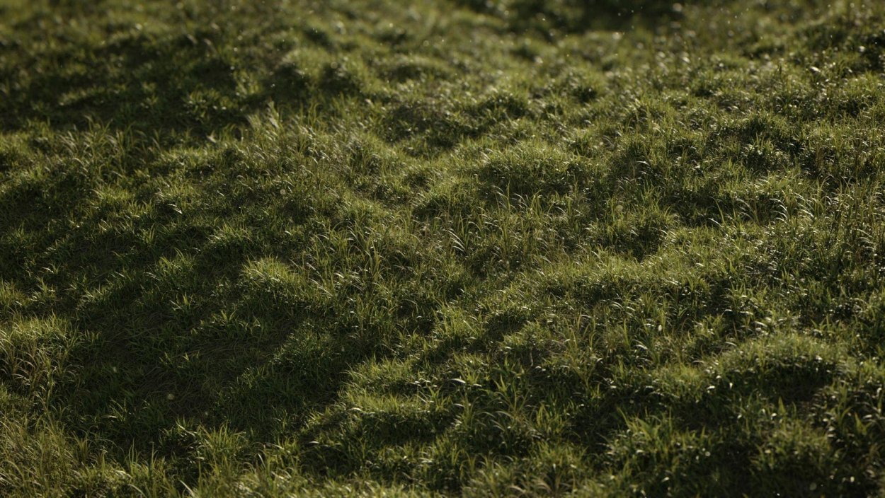 Газон текстура