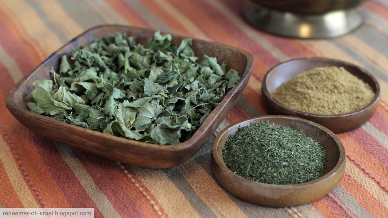 Соцветие мяты перечной