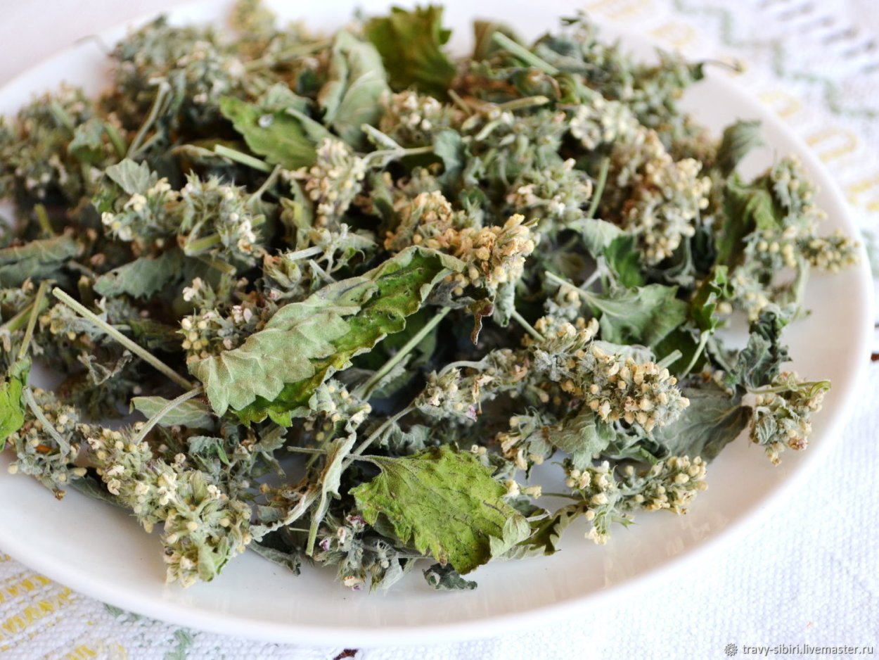 Сацебели ткемали