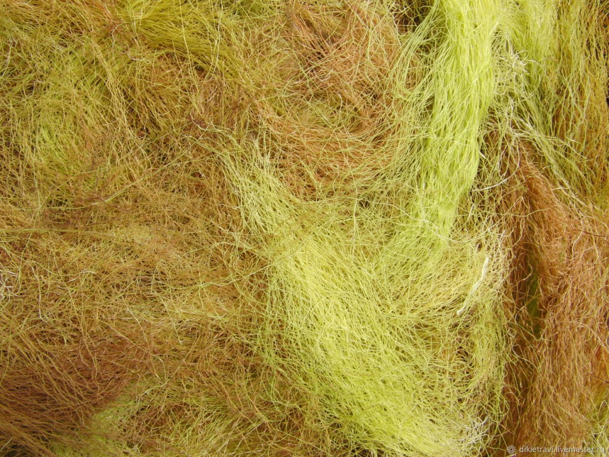 Кукурузы рыльца Красногорсклексредства