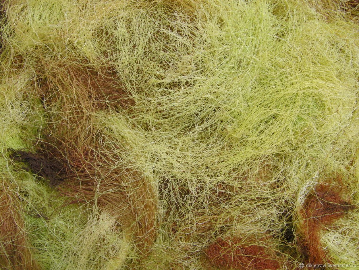 Кукурузные рыльца Красногорсклексредства