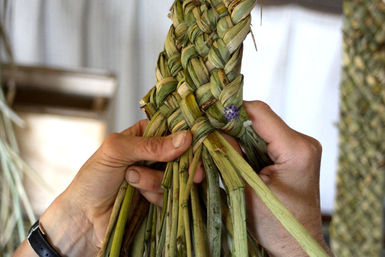 Мешок кукурузы на поле