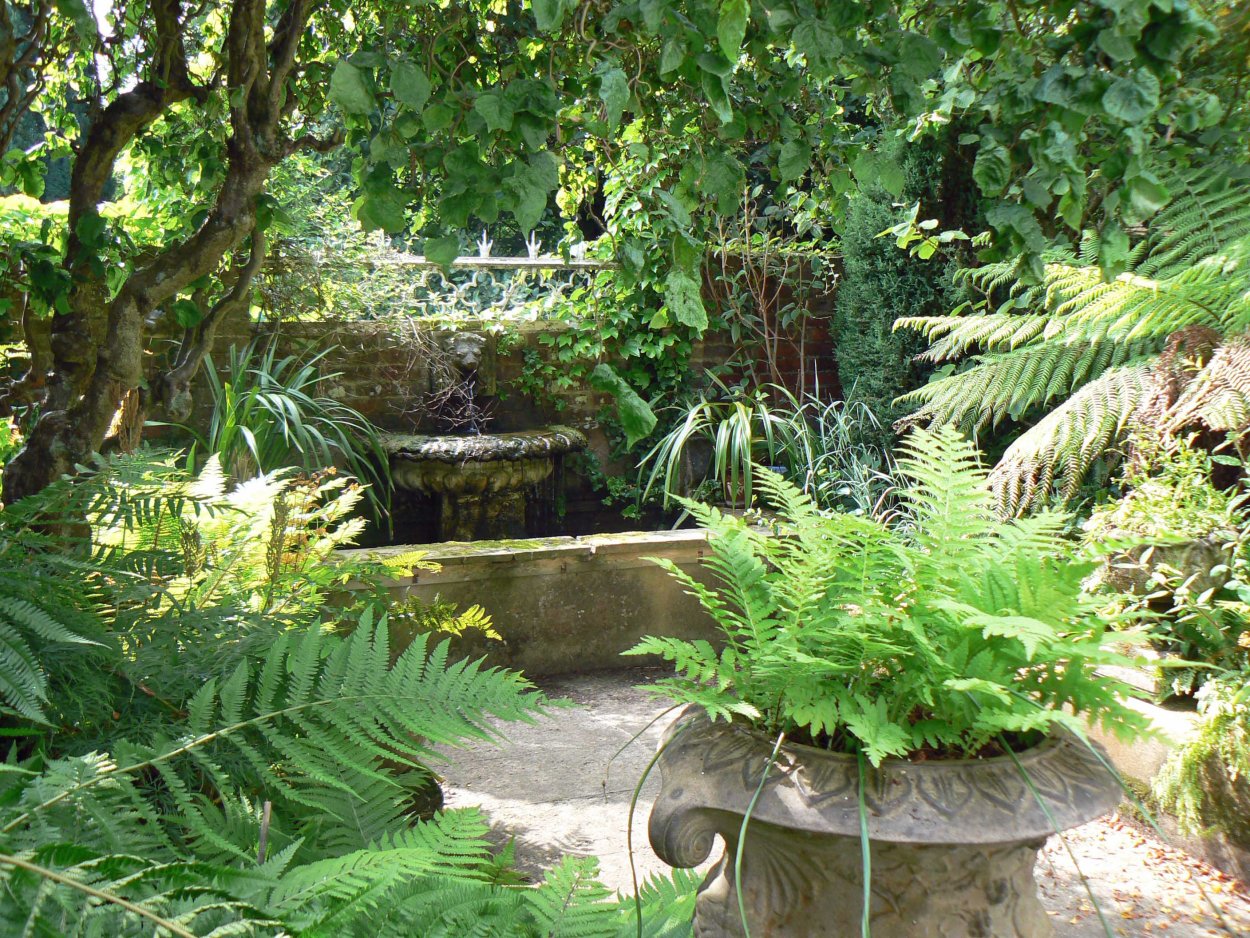 Папоротник садовый в ландшафтном