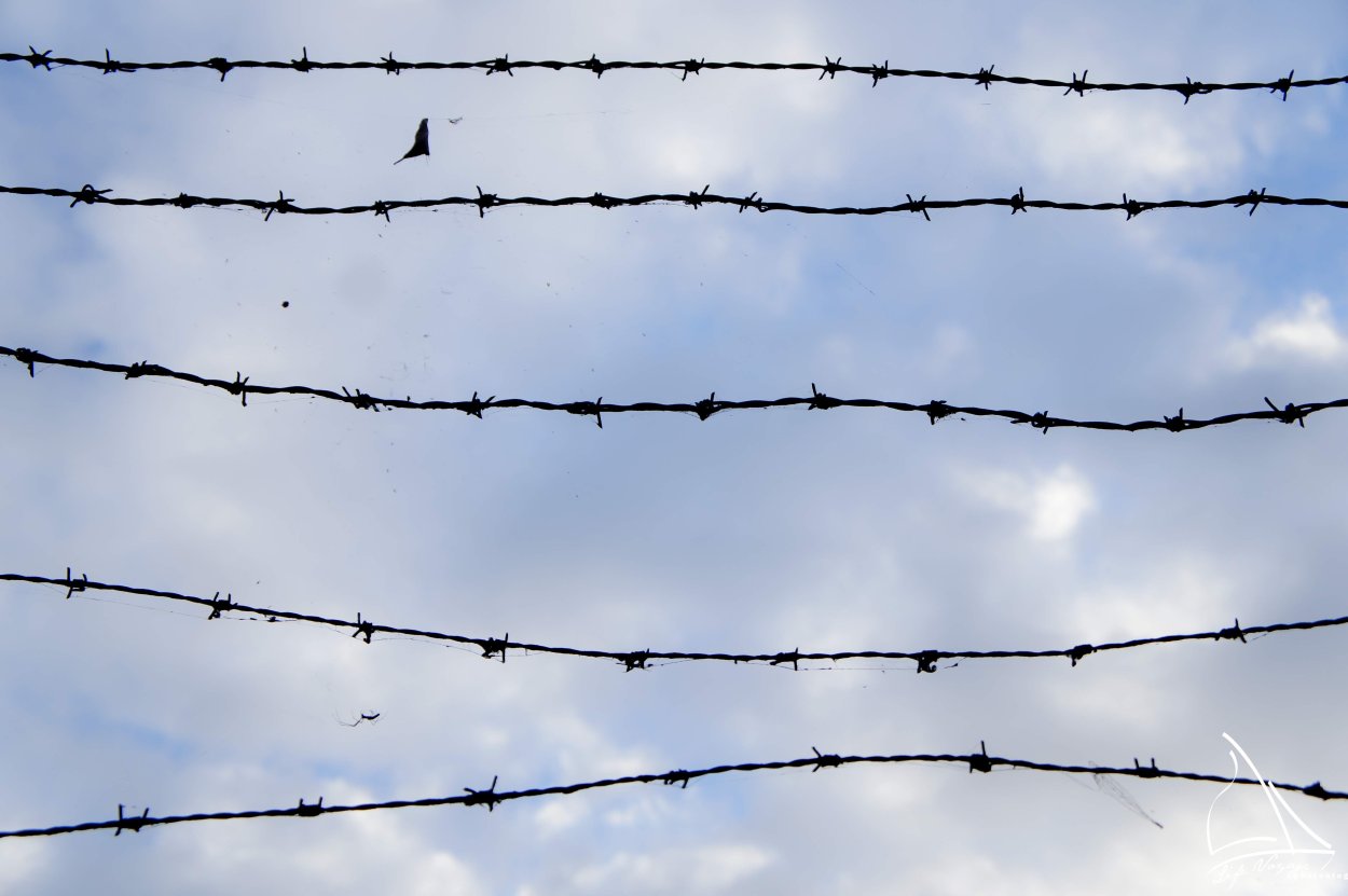 Тюремная проволока