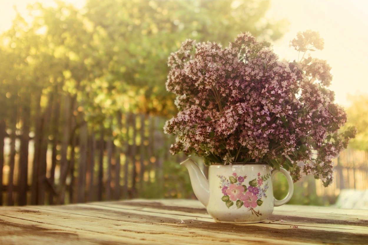 Душица в чай цветы или листья