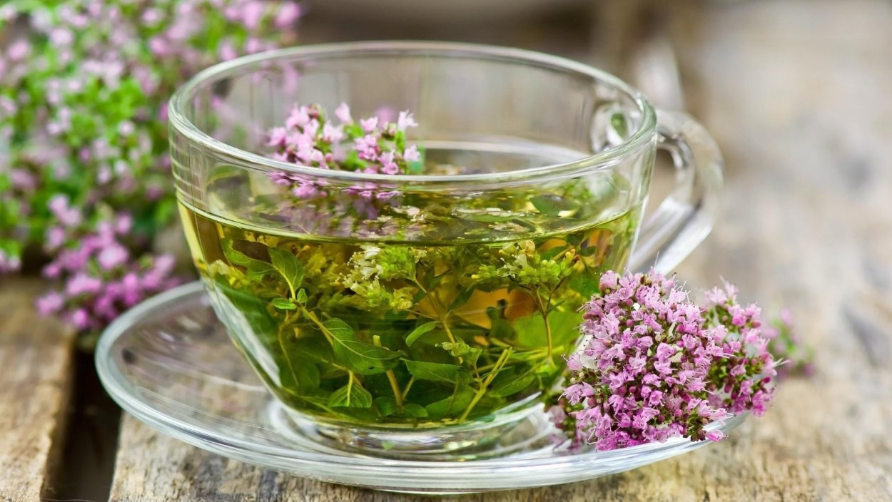 Чабрец и шалфей