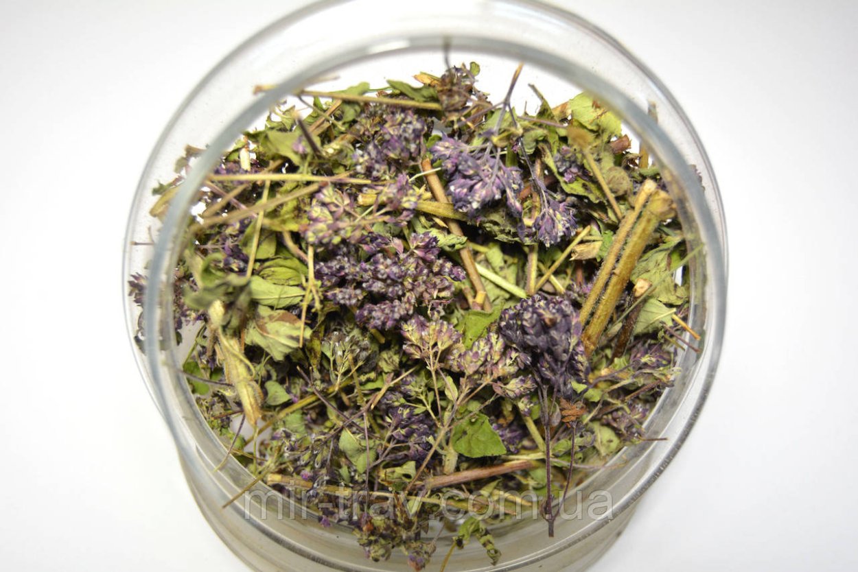Трава душицы сырье
