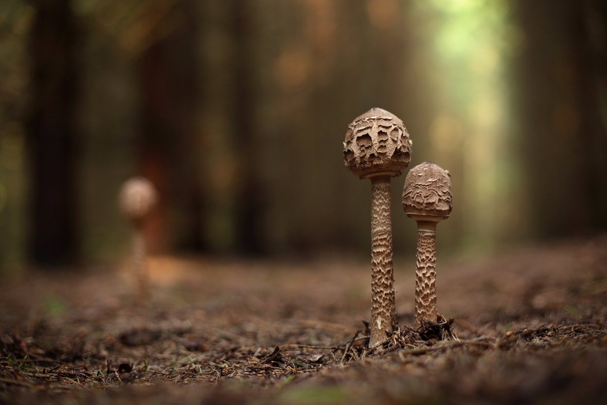 Вадим Морозов фотограф