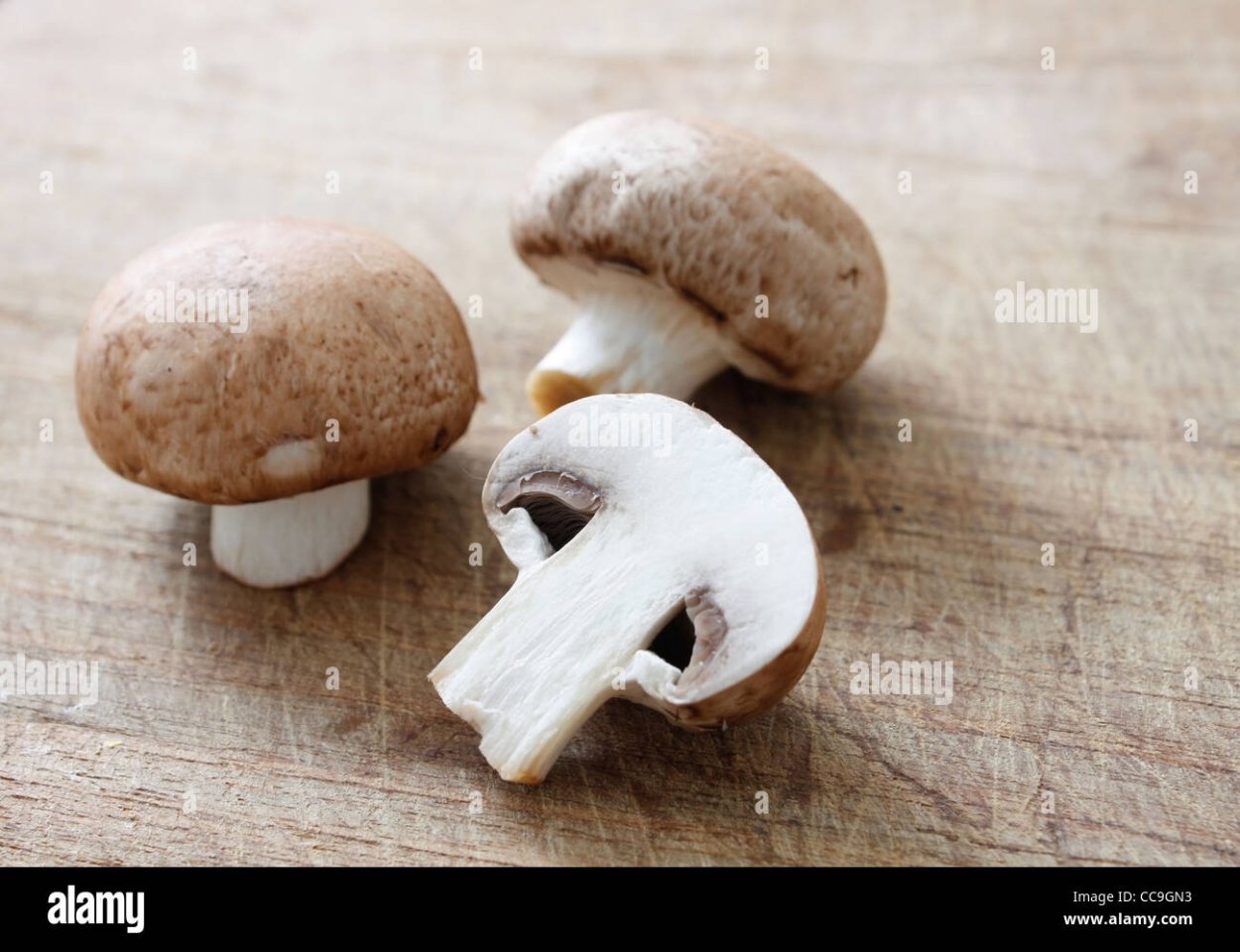 Осенние шампиньоны