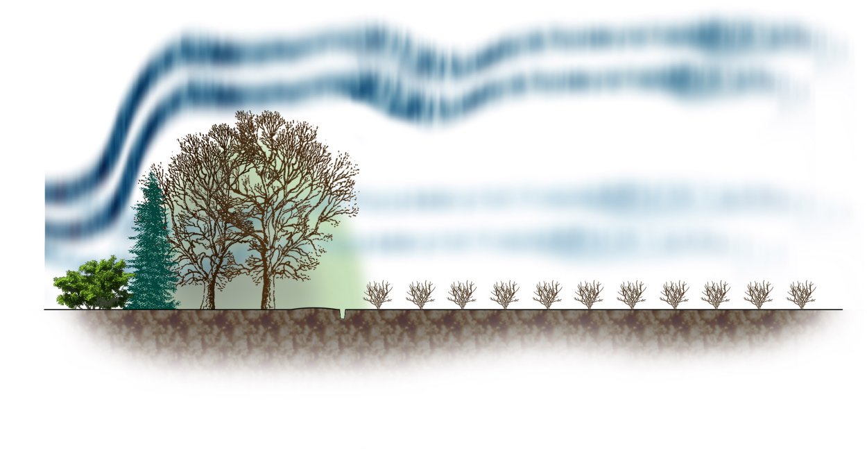 Лес верхушки деревьев