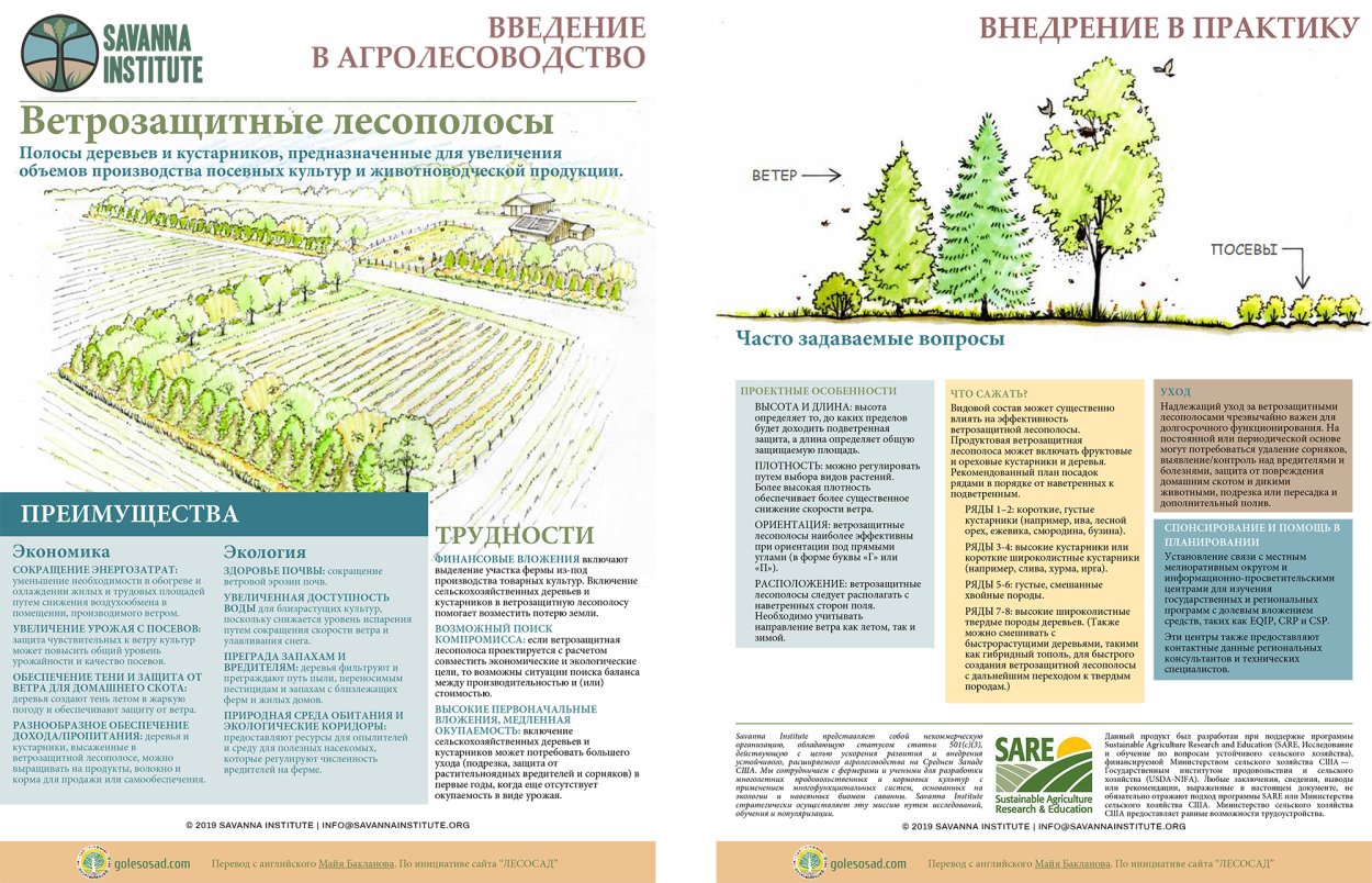 Природные зоны Кавказа Высотная поясность