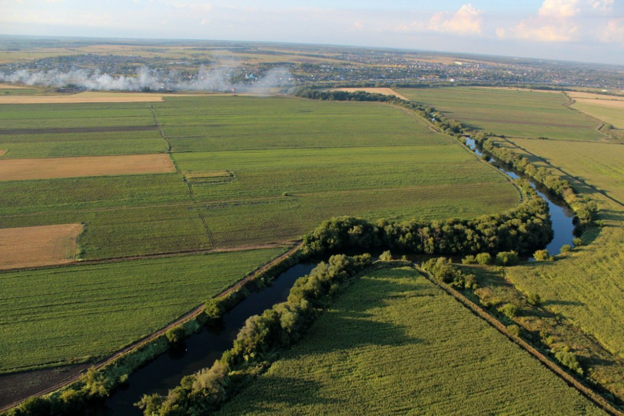 Прибалочная Лесная полоса