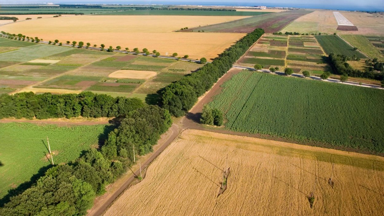 Лес эскиз панорама