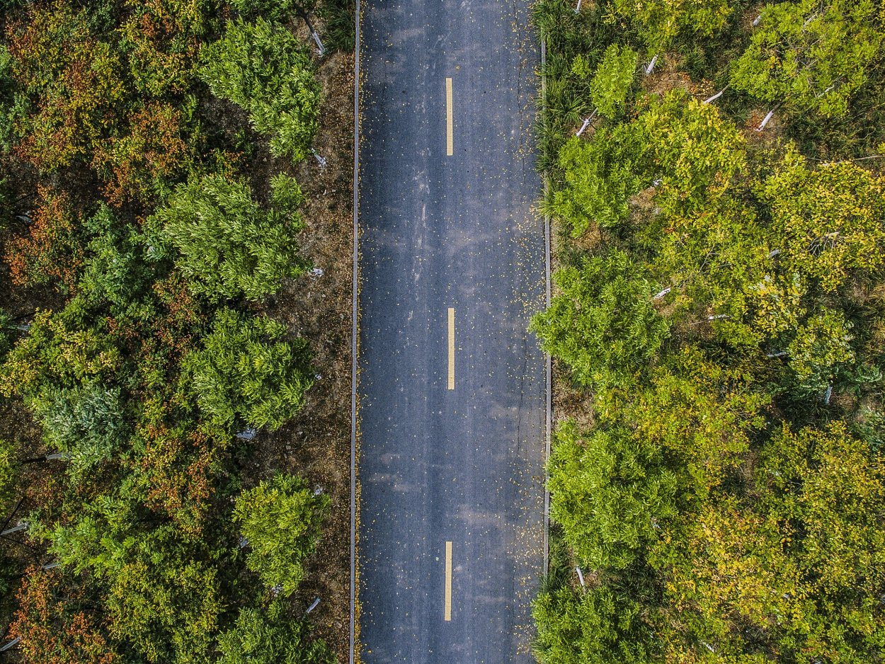 Пастбищезащитная мелиорация