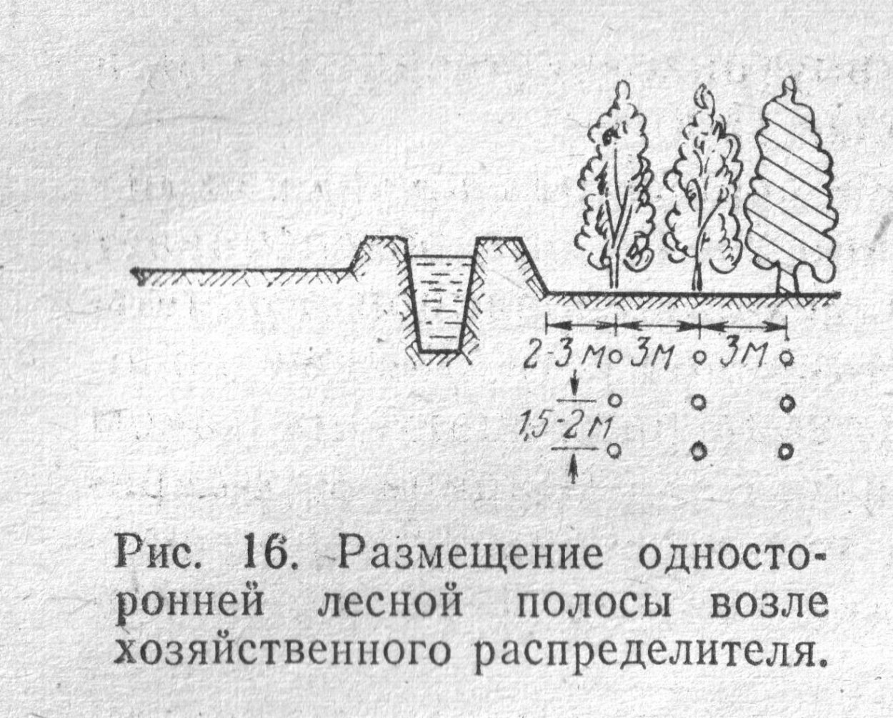 Противоэрозионная агролесомелиорация