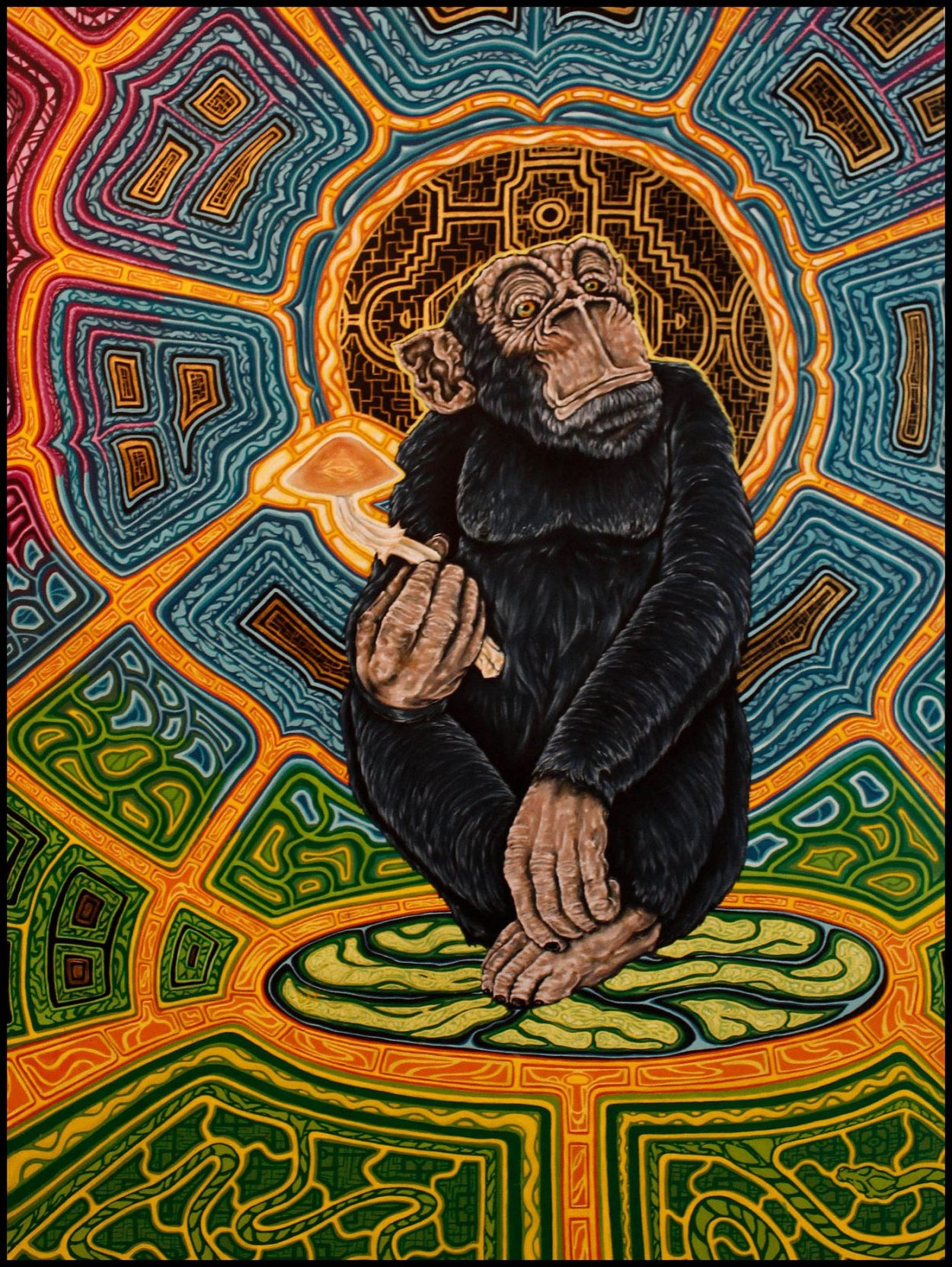 Родотус дланевидный