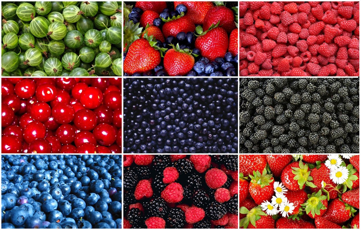 Ягода жизни