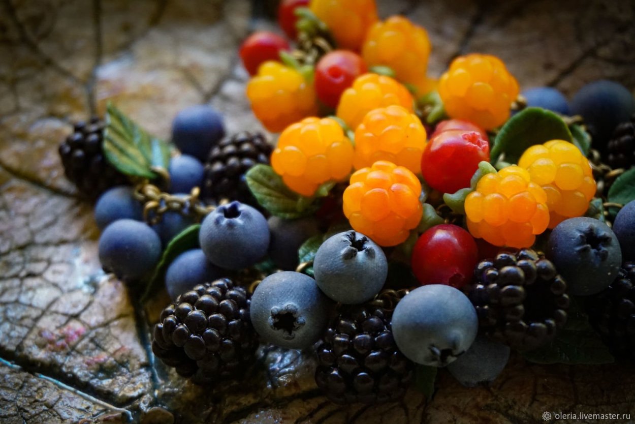 Морошка ежевика голубика