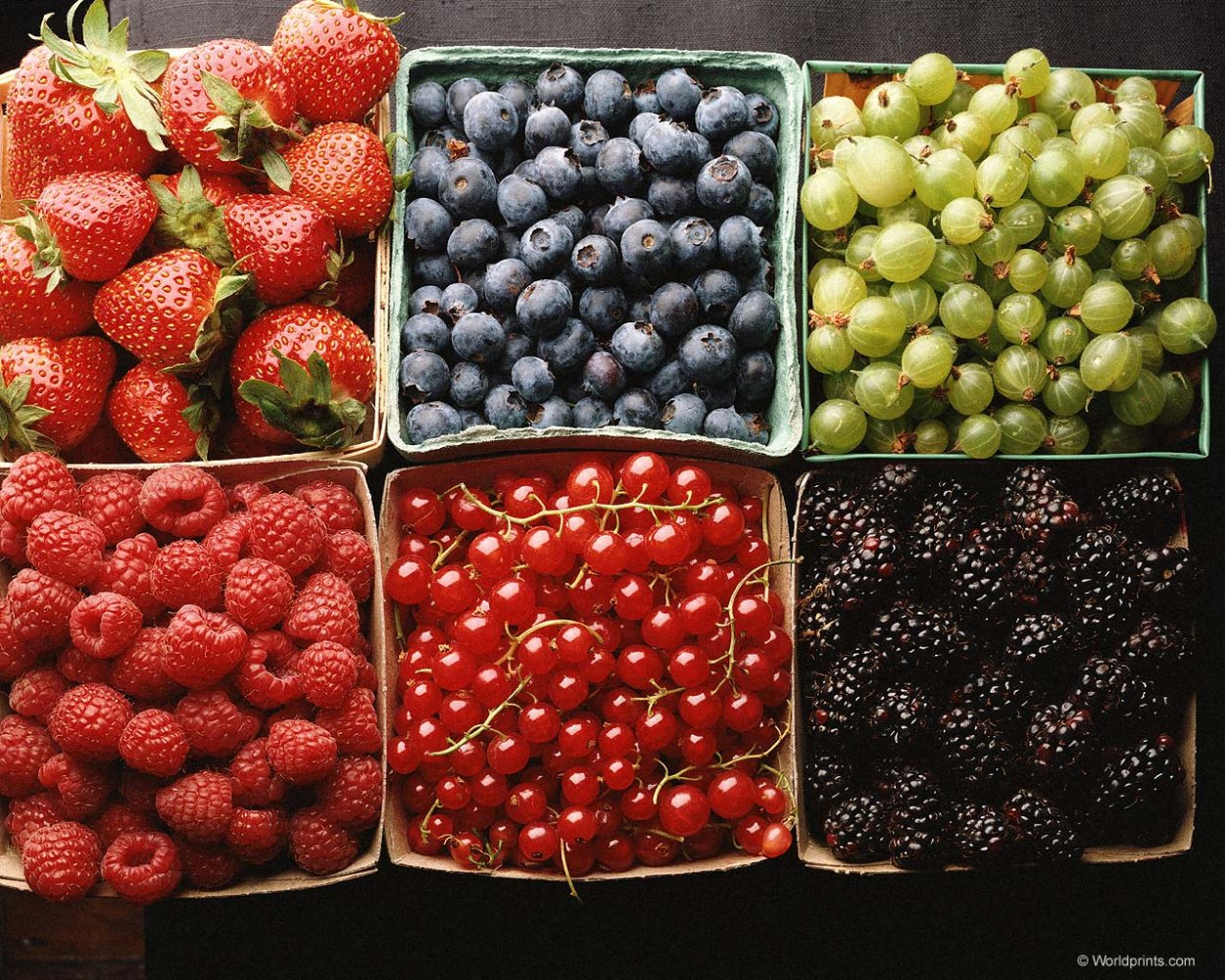 Какие ягоды можно собирать