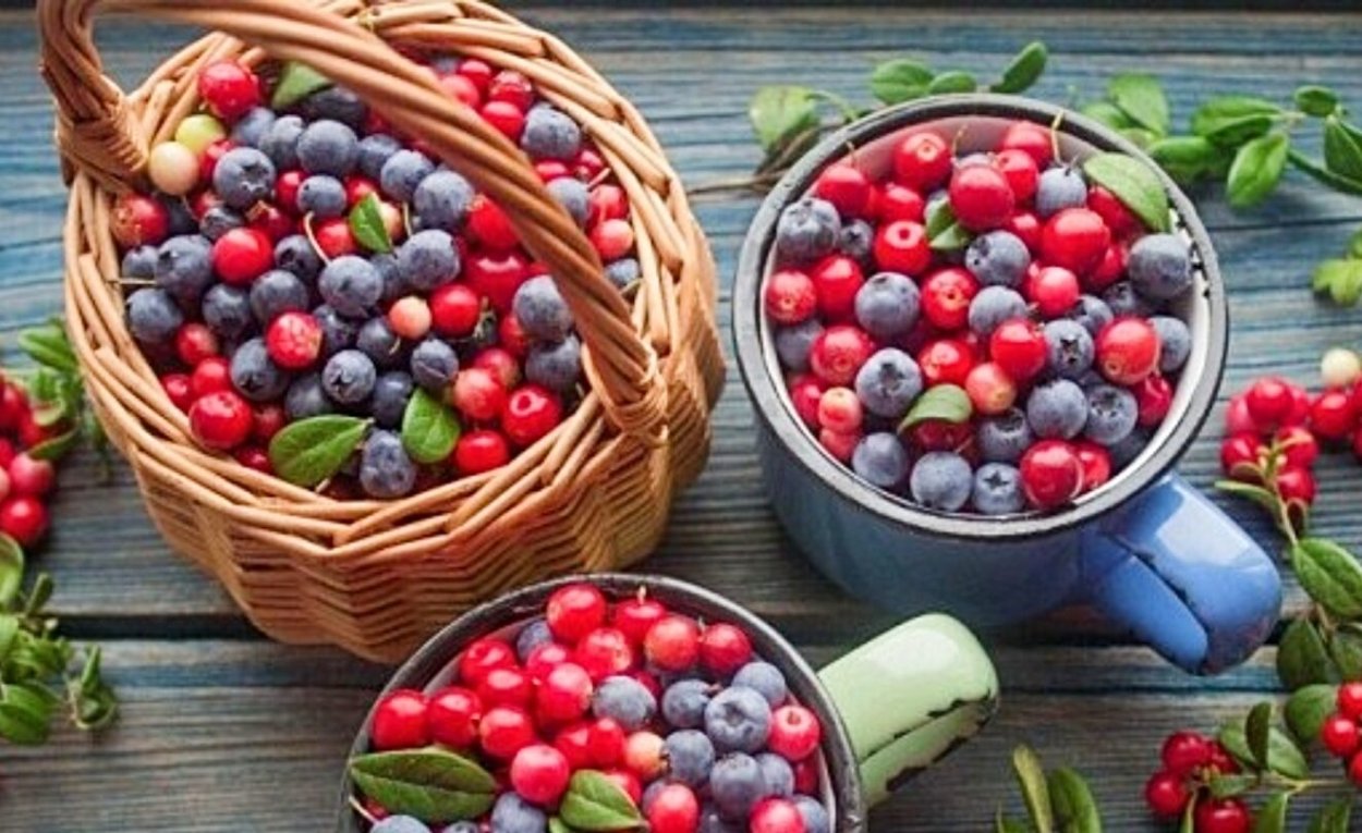Брусника голубика черника ежевика
