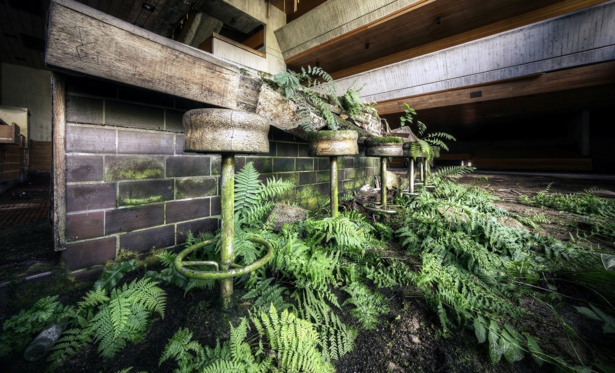 Вапорвейв папоротник