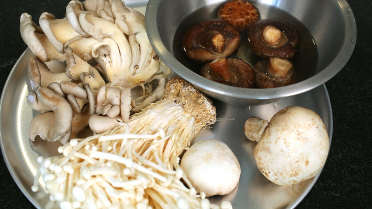 Грибы. Плакат