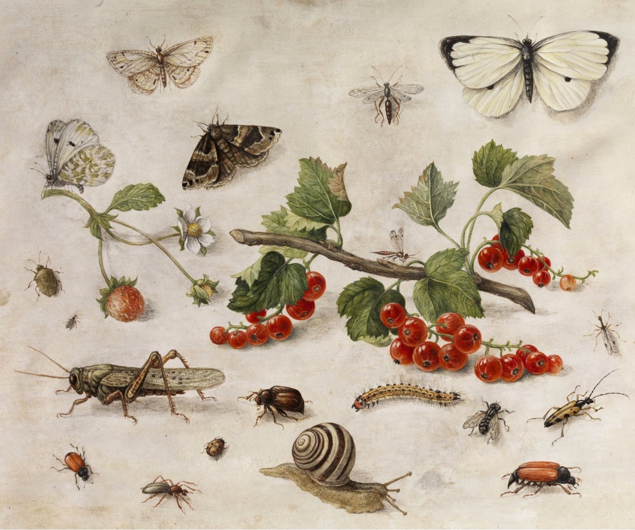 Ян Ван Кессель старший