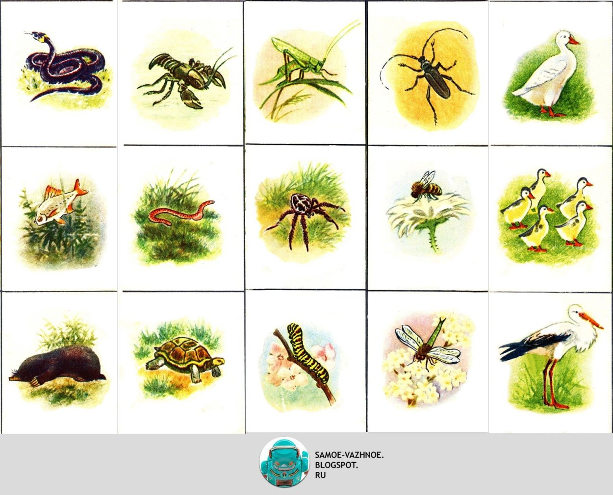 Игра зоологическое лото СССР