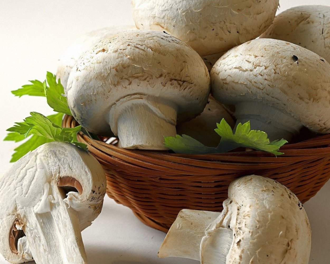 Тайские грибы Эноки