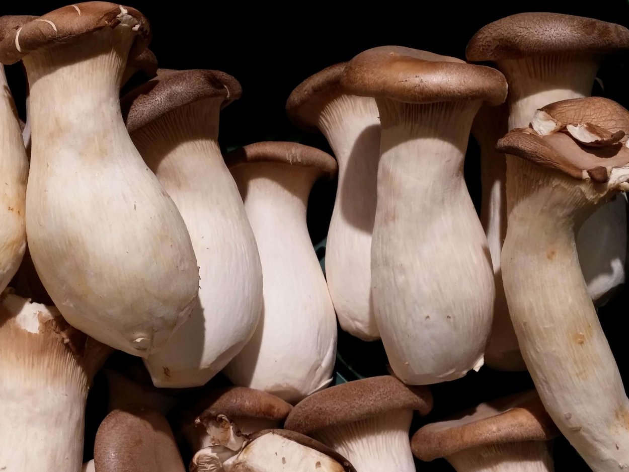 Шампиньоны на столе