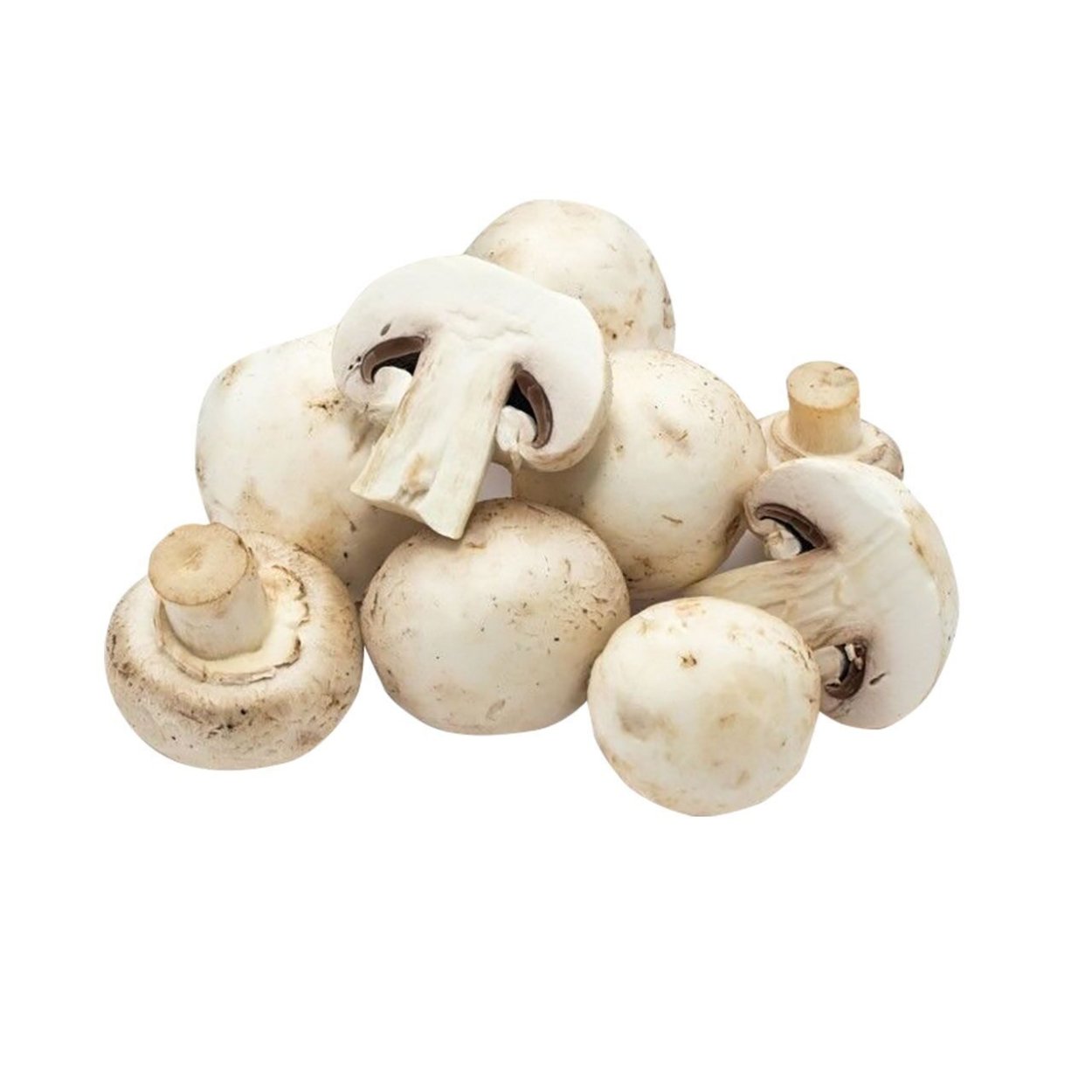 Mycena viscidocruenta