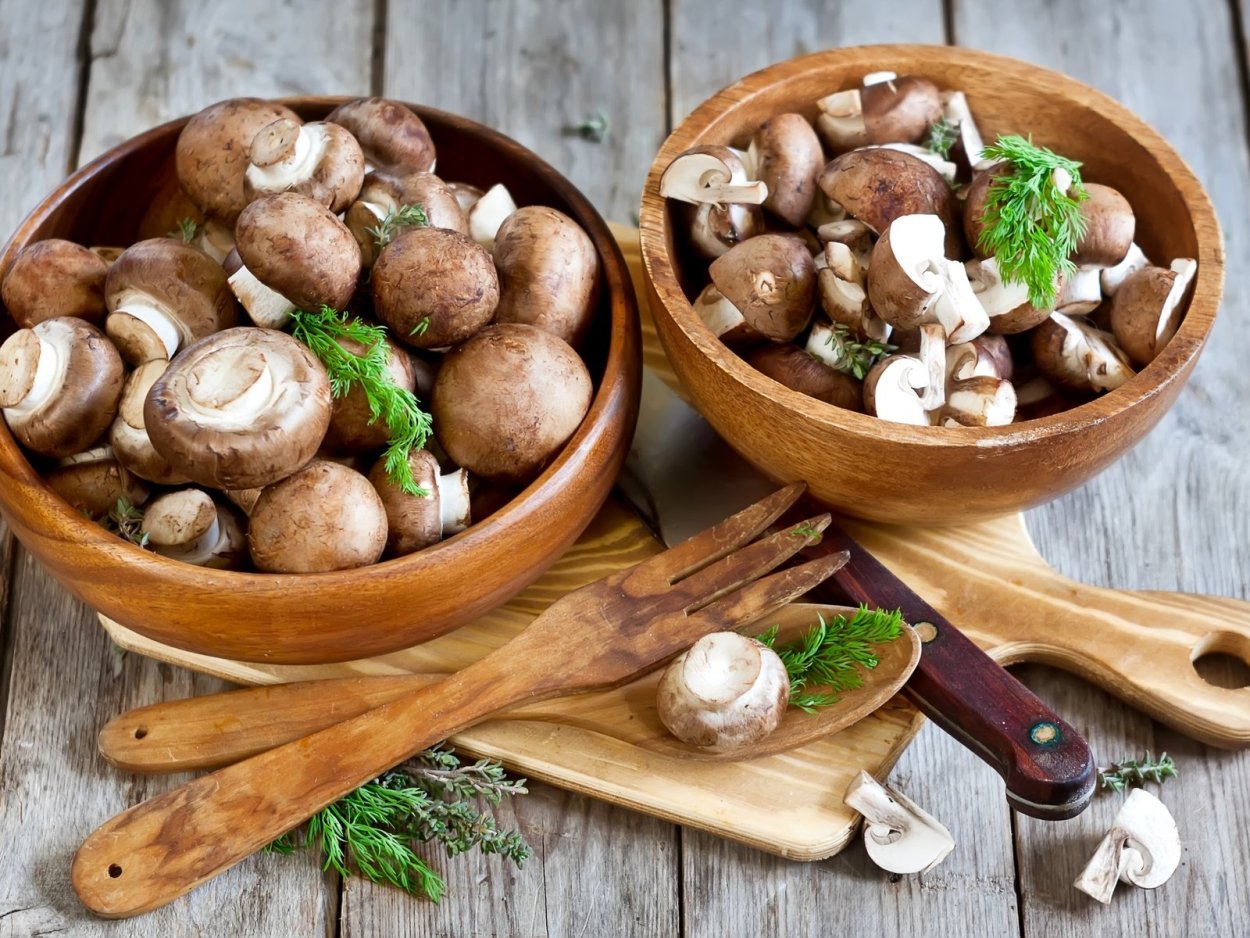 Аманита гриб