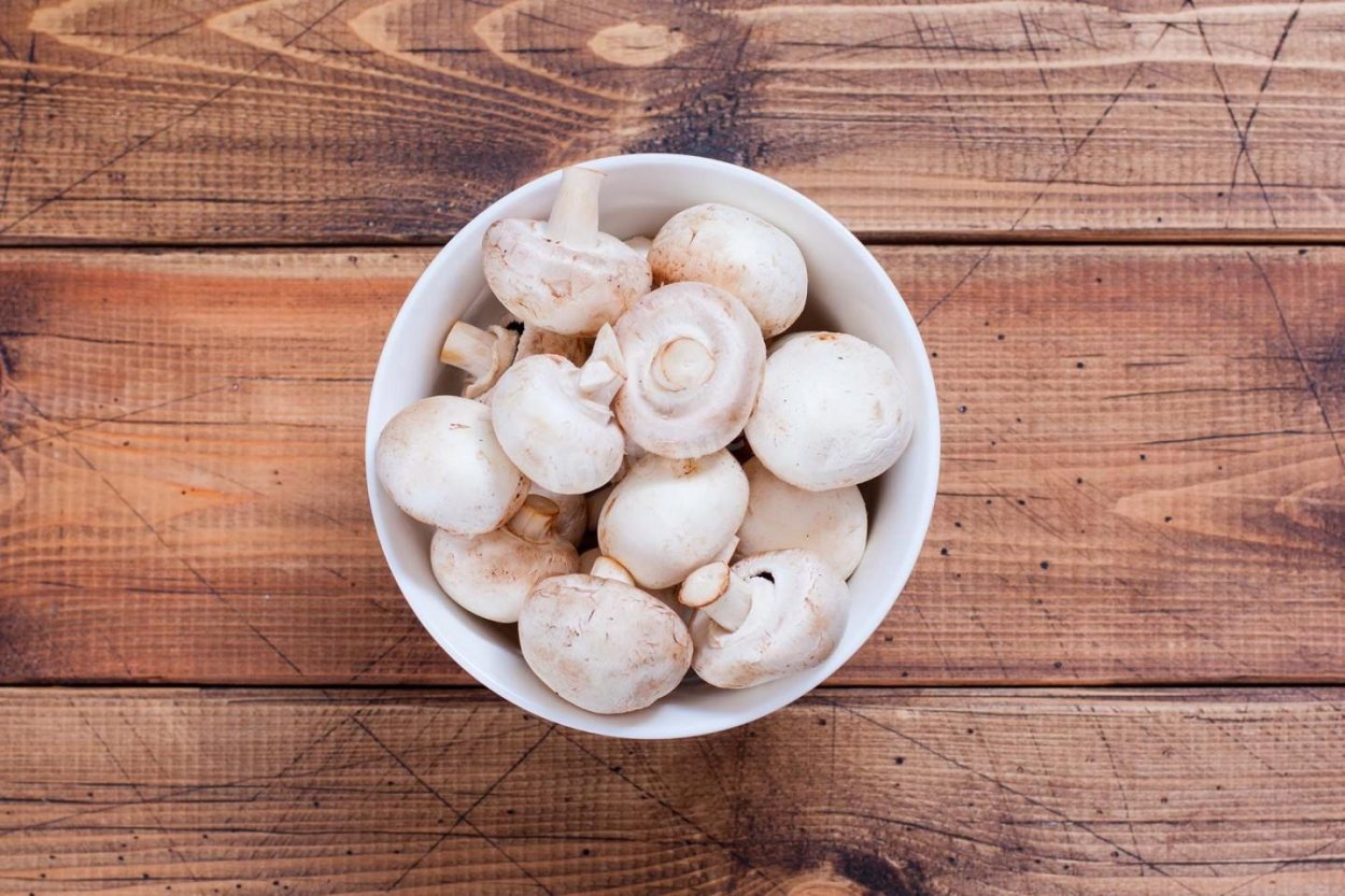 Шампиньоны съедобные