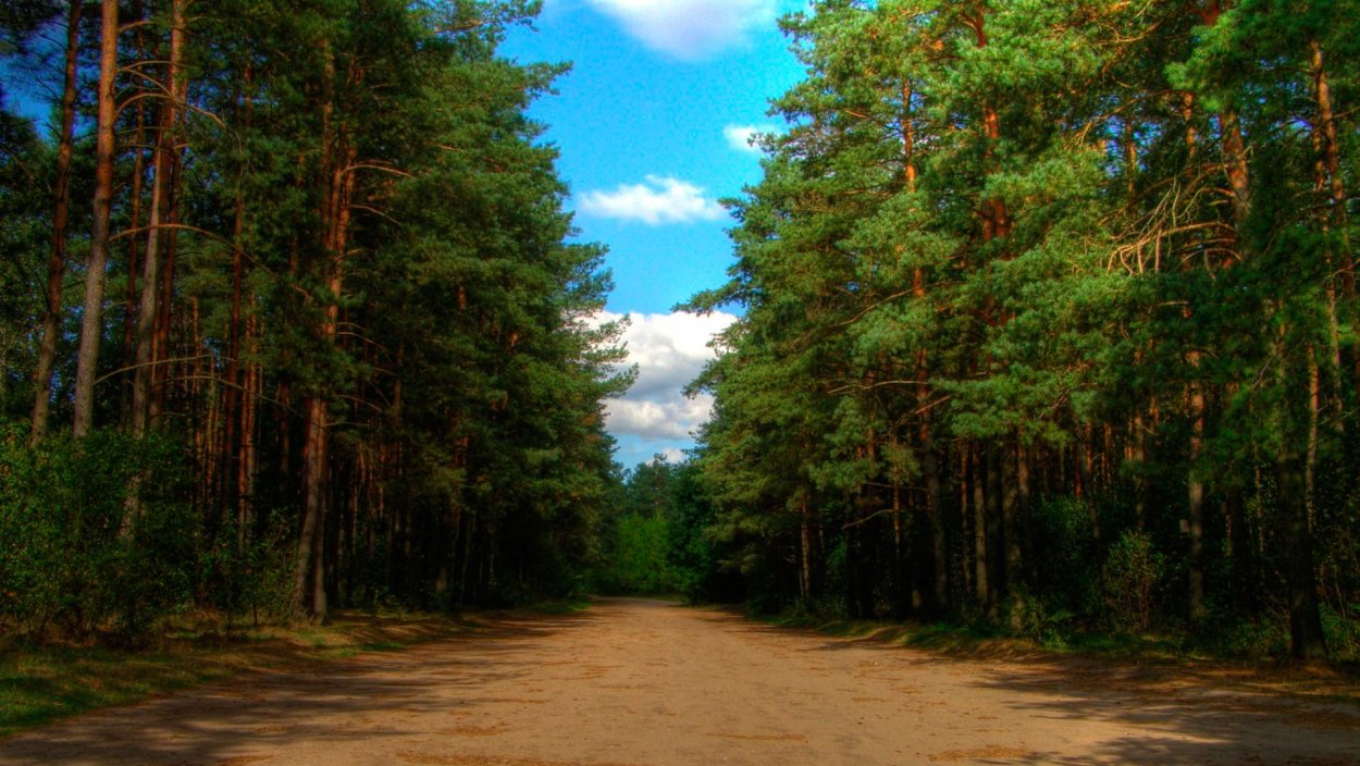 Андреевский Сосновый Бор Удмуртия