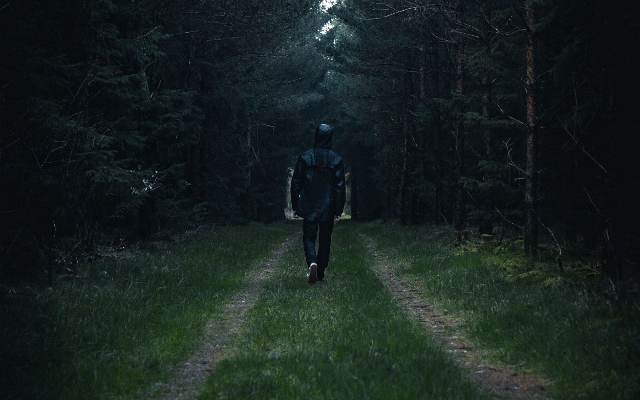 Человек в темном лесу