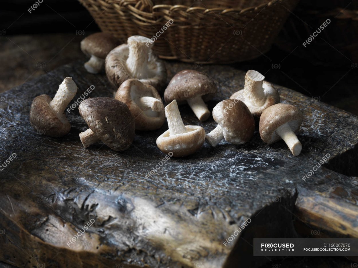 Фунчоза с грибами шиитаке Sen soy