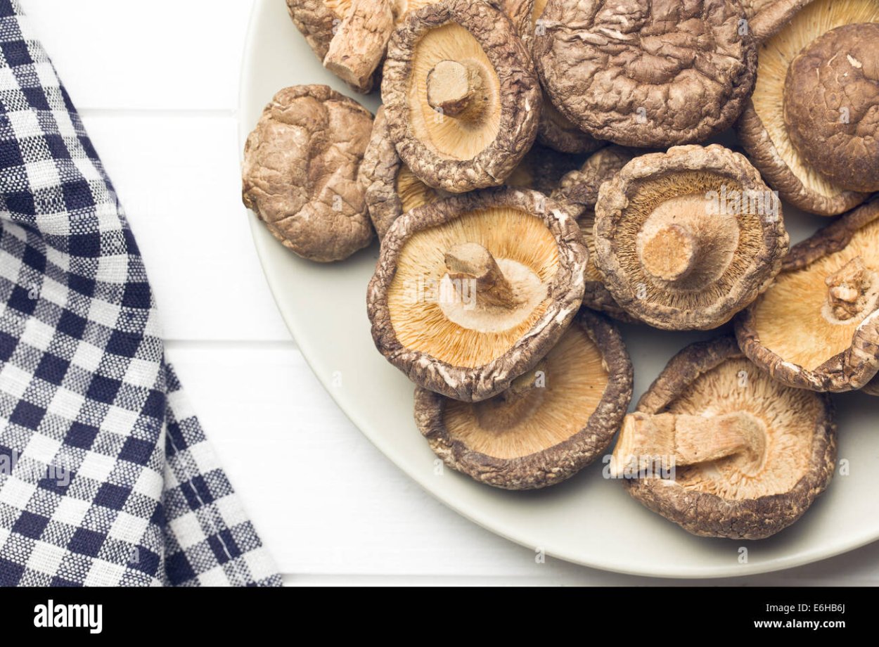 Шиитаке Shiitake (Lentinula edodes)