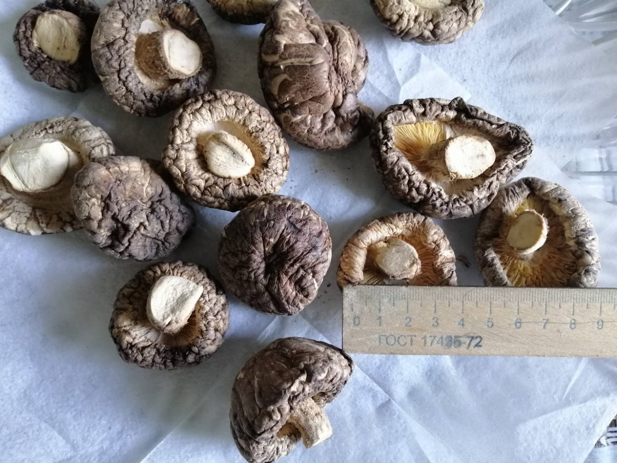 Лапша пшеничная "с грибами шиитаке" "кухни мира" 220г