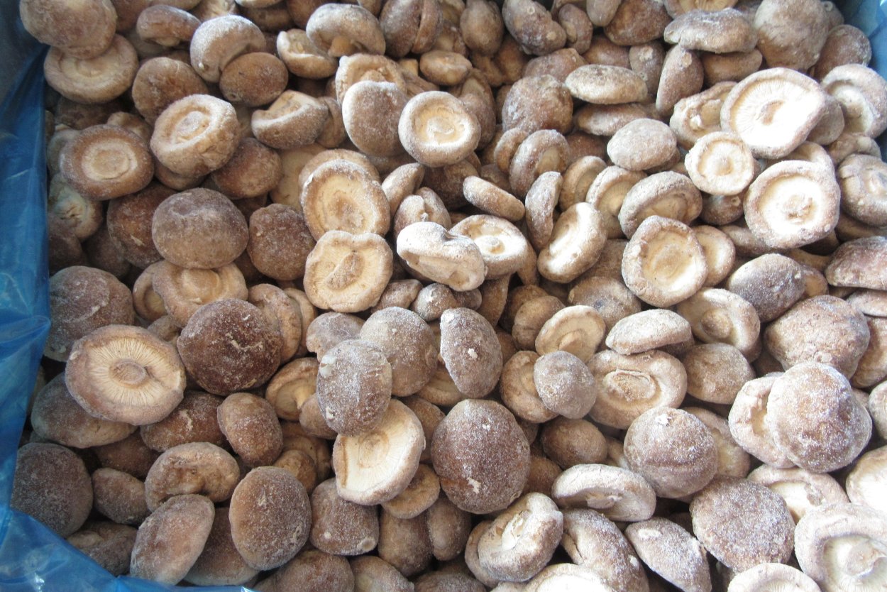 Грибы в тазике