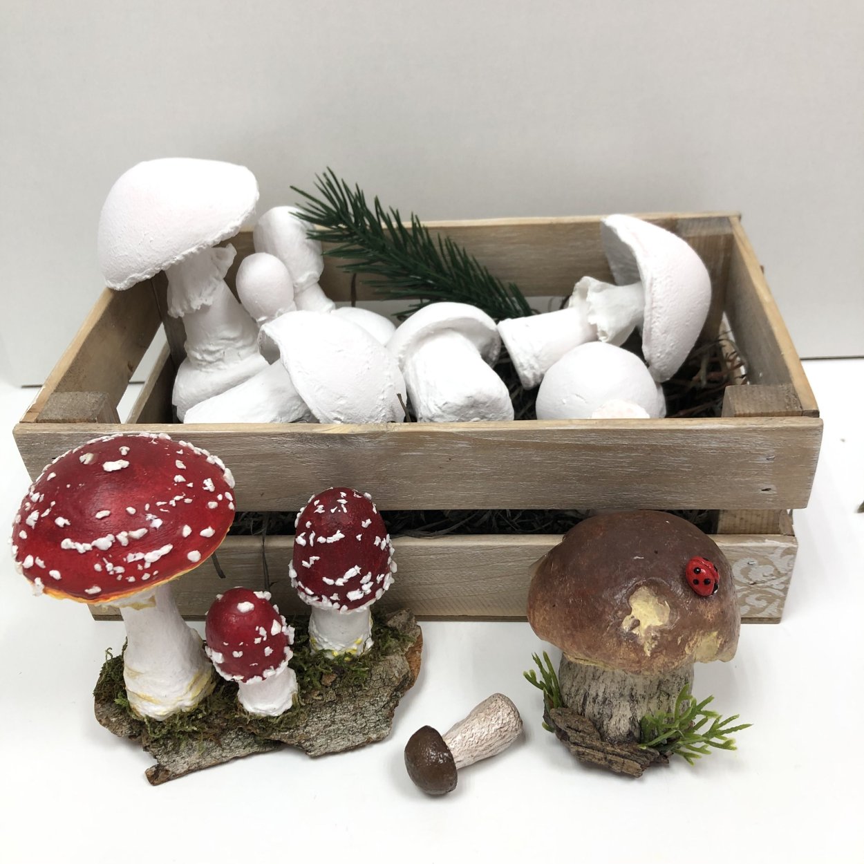 Ткань с грибами