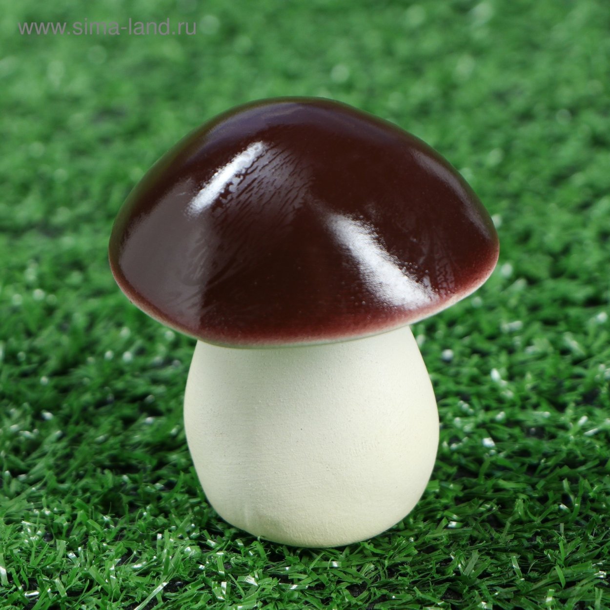 Маленькие грибочки